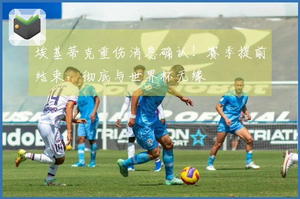 埃基蒂克重伤消息确认！赛季提前结束，彻底与世界杯无缘