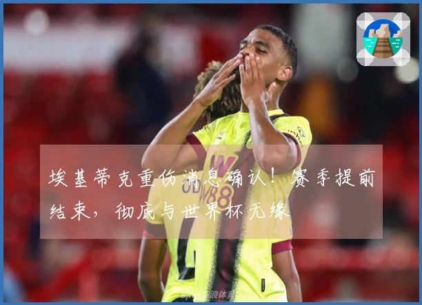 埃基蒂克重伤消息确认！赛季提前结束，彻底与世界杯无缘