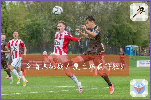 华南虎挑战广厦主场赢得胜利