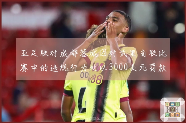亚足联对成都蓉城因对武里南联比赛中的违规行为处以3000美元罚款